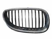 Vorderer oberer Gitter BMW 5 Touring (E61) 520 i 7065702