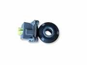 Klopfsensor NISSAN JUKE (F15) 1.6 A2C53344012