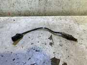 Sauerstoffsensor (Lambdasensor) CITROËN C5 III Break (TD_) 1.6 HDi 110 9683265480