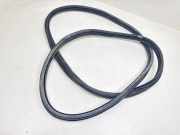 Türgummi links vorne Citroen C4 II (B7)