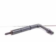 Einspritzdüse NISSAN ALMERA II Hatchback (N16) 2.2 Di 484391