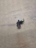 Parktronic AUDI A8 D2 (4D2, 4D8) 2.5 TDI quattro
