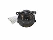 Nebelscheinwerfer links RENAULT LAGUNA II (BG0/1_) 1.9 dCi (BG08, BG0G) 195785B