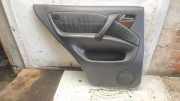 Türpolster hinten links MERCEDES-BENZ M (W163) ML 270 CDI (163.113)