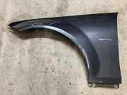Kotflügel vorne links MERCEDES-BENZ C (W204) C 250 CDI (204.003)