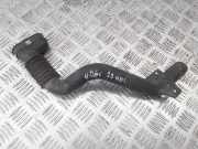 Luftansaugrohr PEUGEOT 406 Coupe (8C) 2.2 HDI 9628631180