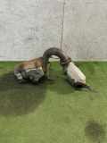 Abgassystem MASERATI GHIBLI (M157) 3.0 D 670031099