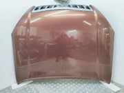 Motorhaube TOYOTA LAND CRUISER 120 (_J12_) 3.0 D-4D (KDJ120, KDJ125)