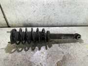 Stoßdämpfer vorne links CITROËN C5 II Break (RE_) 1.6 HDi (RE8HZB)