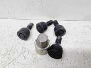 Radmutternsatz Nissan Qashqai II (J11) 402226PA1A