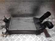 Ladeluftkühler OPEL ZAFIRA B (A05) 1.9 CDTI 13213402