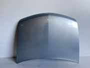 Motorhaube RENAULT VEL SATIS (BJ0_) 2.0 16V Turbo (BJ0K)