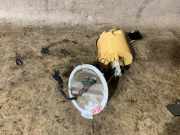 Kraftstofftankpumpe MERCEDES-BENZ CLS (C218) CLS 350 BlueTEC / d (218.326) A2124700194