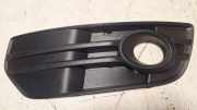 Gitter vorne unten AUDI Q5 (8R) 2.0 TDI quattro 8R0807681A