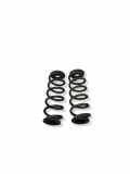 Schraubenfeder hinten links MG ZS SUV EV