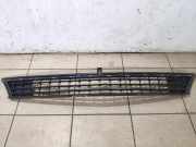 Kühlergrill unten Mercedes-Benz B-Klasse Sports Tourer (W245) A1698850123