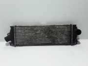 Ladeluftkühler Renault Trafic II Kasten (FL) 8200411160