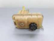 Ausgleichsbehälter PEUGEOT 407 Coupe (6C_) 2.0 HDi 917A2