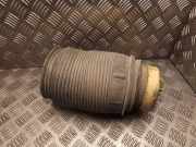 Stoßdämpfer links hinten Mercedes-Benz E-Klasse (W212) A2123203925