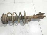 Stoßdämpfer vorne rechts RENAULT KOLEOS I (HY_) 2.0 dCi 4x4 (HY0K)