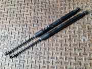 Heckklappe Gasdruckfeder links DACIA DUSTER 1.6 16V 4x4 904521364R