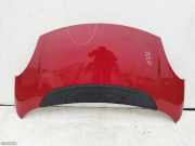 Motorhaube Fiat 500L (351)