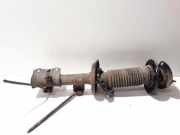 Stoßdämpfer vorne rechts SUZUKI GRAND VITARA II (JT, TE, TD) 1.9 DDiS 4WD (TD44, JT419, JB419WD)