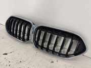 Vorderer oberer Gitter BMW 2 Gran Coupe (F44) 228i xDrive 7476257