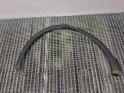 Kotflügellerweiterung vorne links RENAULT KADJAR (HA_, HL_) 1.5 dCi 110 638753254R