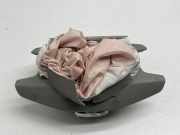 Lenkrad Airbag KIA NIRO II EV 80100CV000