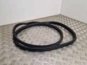 Türgummi links vorne Renault Grand Scenic IV (R9)