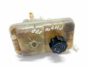 Ausgleichsbehälter PEUGEOT 407 Coupe (6C_) 2.7 HDi 917A2