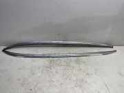 Dachreling links BMW 3er Touring (E91) 7255484