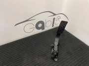 Gaspedal AUDI A5 (F53) 3.0 TDI quattro 8W1723523