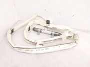 Dach SRS rechts AUDI A8 D4 (4H_) 4.2 TDI quattro 4H0880742E