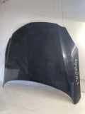 Motorhaube OPEL INSIGNIA A Estate (G09) 2.0 CDTI (35)