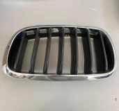 Vorderer oberer Gitter BMW X5 (F15, F85) xDrive 40 d 7316053