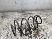 Fahrwerksfeder vorne rechts