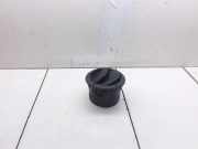 Frischluftgrill RENAULT MASTER III Furgon (FV) 2.3 dCi 100 FWD (FV0A, FV0B, FV0G, FV0K) 687609254R 687604194R