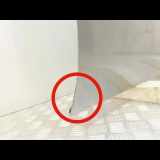 Vordere rechte Tür MERCEDES-BENZ GL (X164) GL 450 4-matic (164.871)