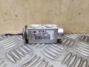 A/C Conditioner Expansion Valve BMW X5 (E53) 3.0 d 64118385560 8385560
