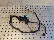 Türverkabelung hinten links CITROËN DS4 1.6 HDi 110 9677609380