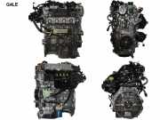 Motor ohne Anbauteile (Benzin) Hyundai Ioniq (AE) G4LE