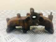 Auspuffkrümmer VW Polo IV (9N, 9A) 045253033