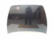 Motorhaube Volvo V50 (545)