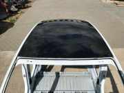 Dach mit Sonnendachausschnitt Tesla Model S (5YJS)