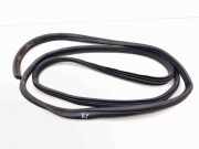 Türgummi links vorne Opel Vivaro B Kasten (X82)