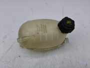 AUSGLEICHSBEHÄLTER KÜHLWASSER RENAULT CLIO V (B7_) 1.3 TCe 130 (B7MF) 217102572R