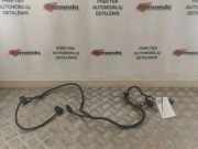 Kabelbaum Hinteren Parksensoren AUDI A3 Sportback (8PA) 2.0 TDI 1J0973703