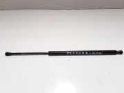 Gasfeder für Motorhaube Peugeot 607 ()